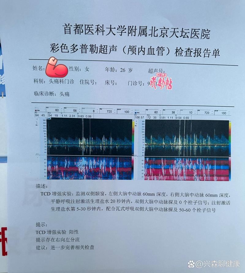 中医TCD编码查询截图