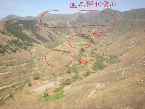 好坟地十个标准