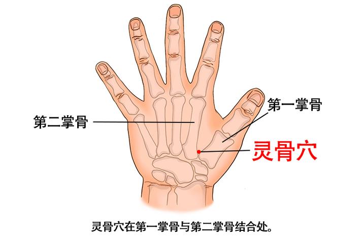 灵骨大白的准确位置