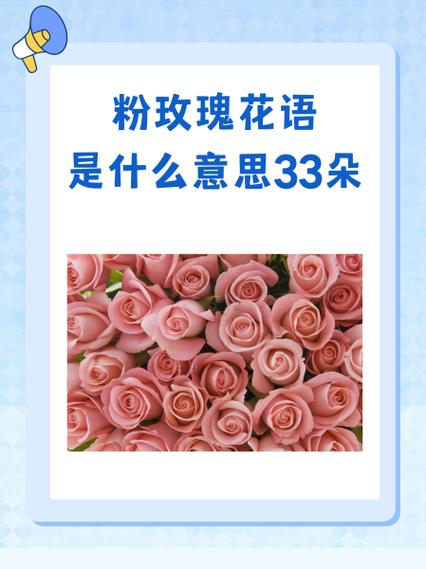 玫瑰花一朵代表什么意思