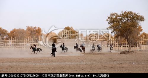 骑马叼羊正版下载安装