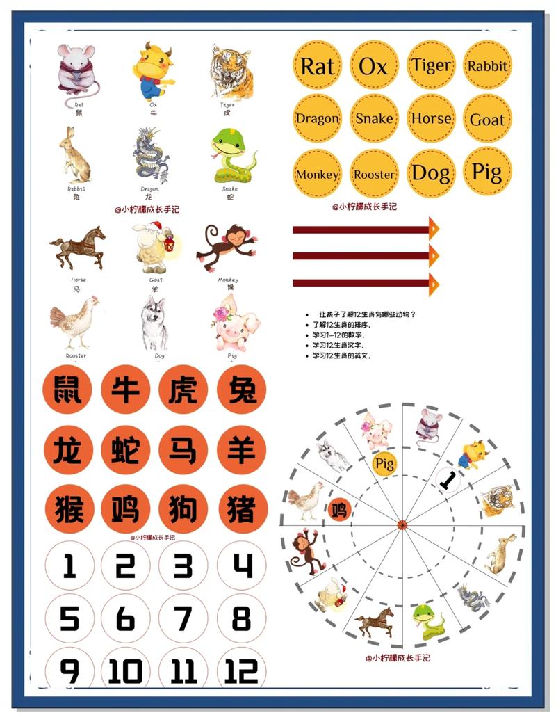 移形换步最准确的生肖