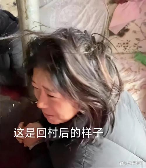 黑糊女配退圈后回村种田日常