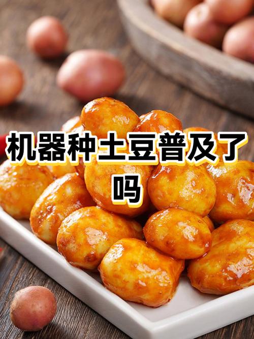 土豆激活码怎么使用
