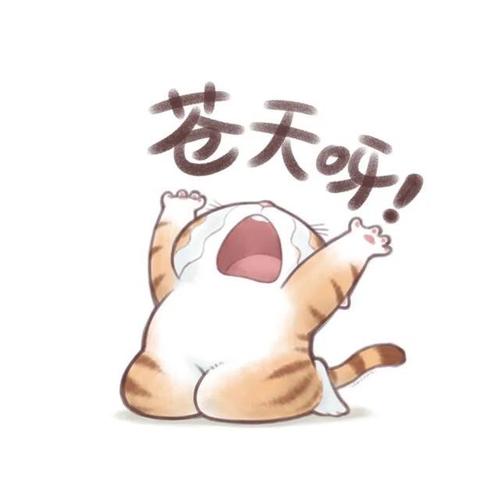 表情包怎么P