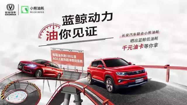 小熊油耗逸动蓝鲸