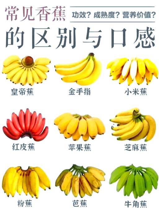 牛奶加香蕉一起吃功效