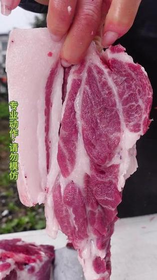 猪肉梅花肉是什么部位游戏截图
