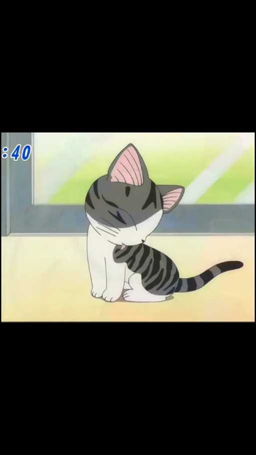 私房猫表情包