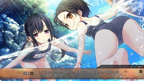 steam草猫r18补丁购买截图
