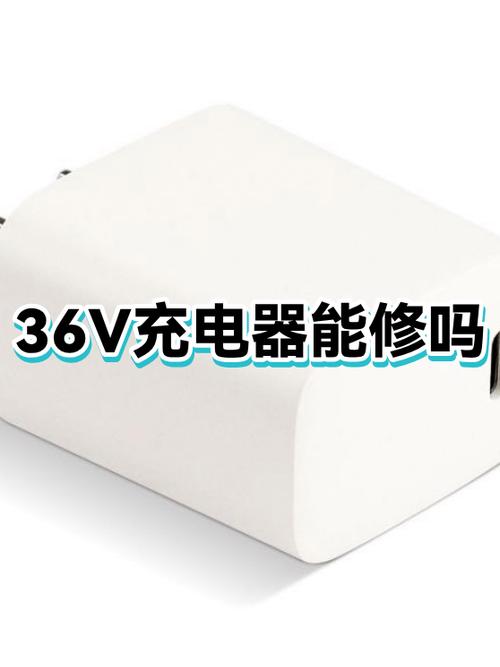 原装充电器坏了可以修吗