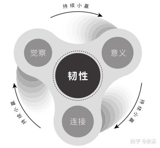 100韧性意味着啥