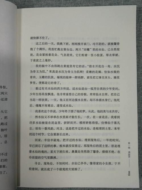 暗香乡村支教小说