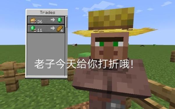 mc刷绿宝石最快的村民