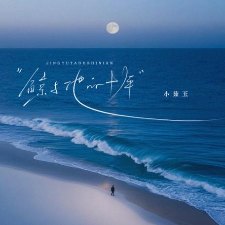 鲸与他的十年mp3下载缩略图