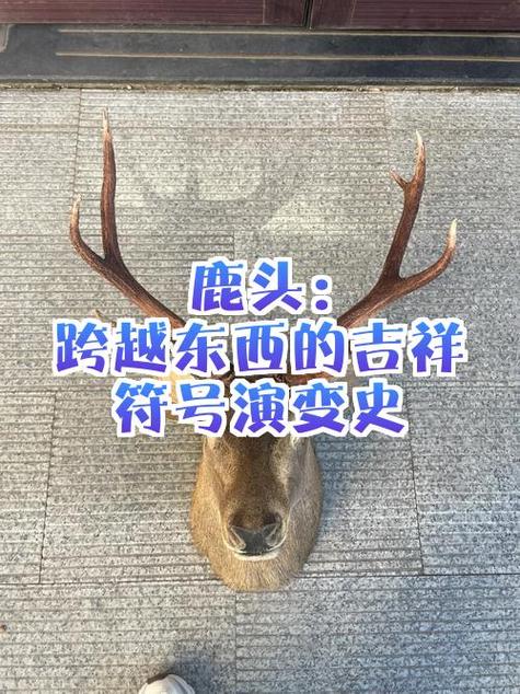 怎么打出鹿头符号截图