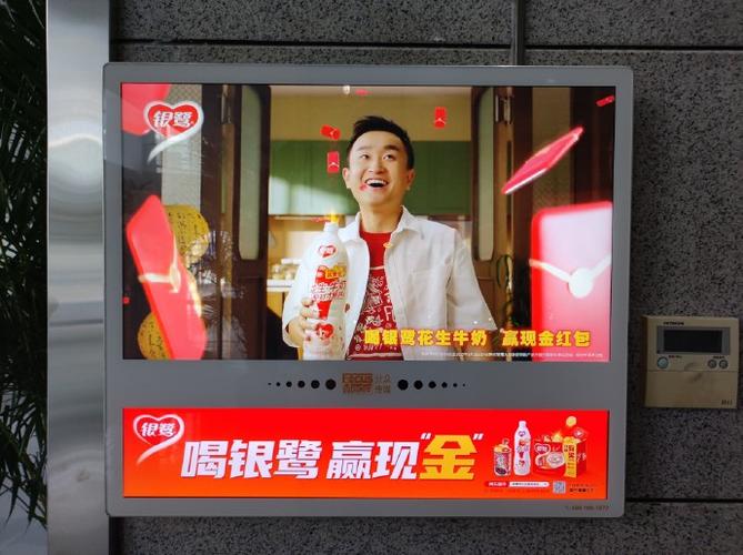 银鹭广告视频
