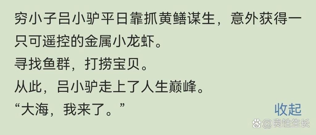 海洋寻宝大师小说