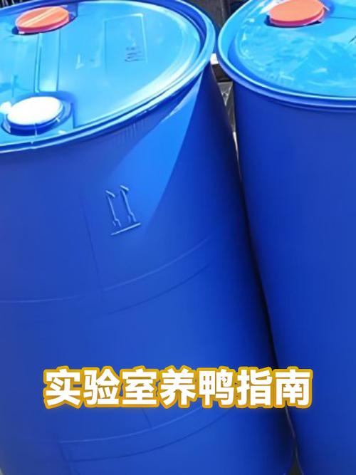 养鸭1000只需要多大地方