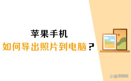 苹果实况照片提取方法
