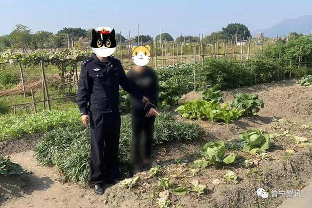 偷菜会被拘留吗