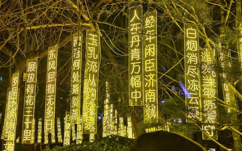 花束上的小灯能亮多久截图