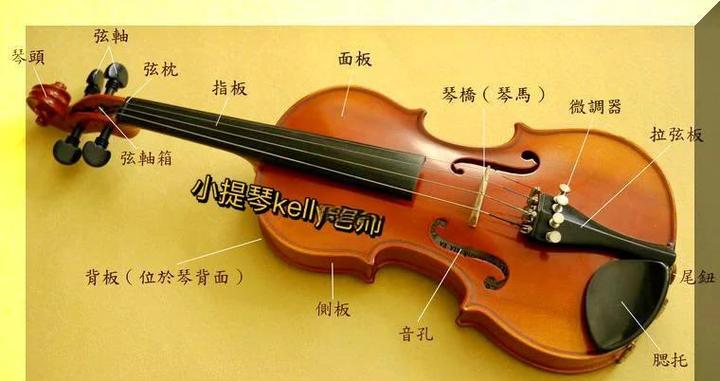 小提琴不装音柱