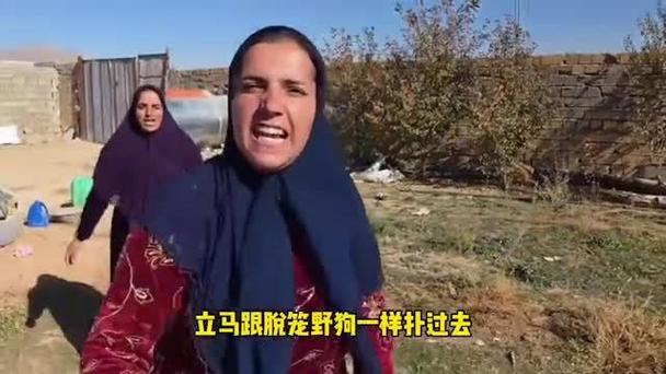 异国搞笑视频合集
