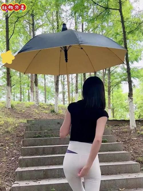 遮雨的遮