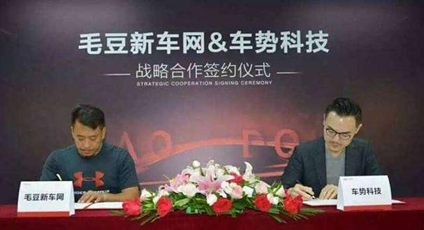 毛豆新车一年怎么退车
