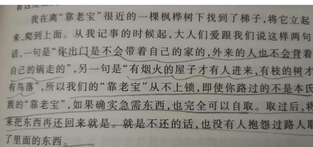 靠老宝是什么意思图标