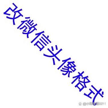 照片缩小设置微信头像