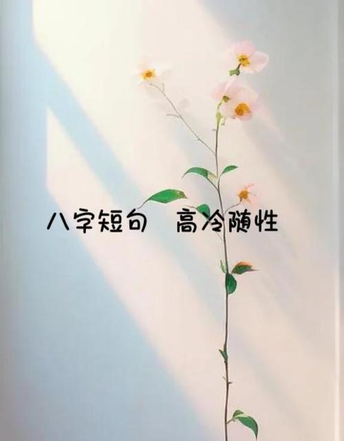 3个字霸气高冷截图