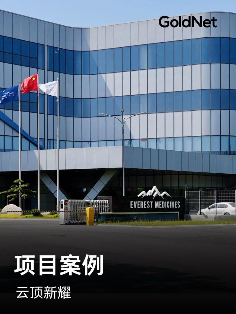 云顶公司是做什么的