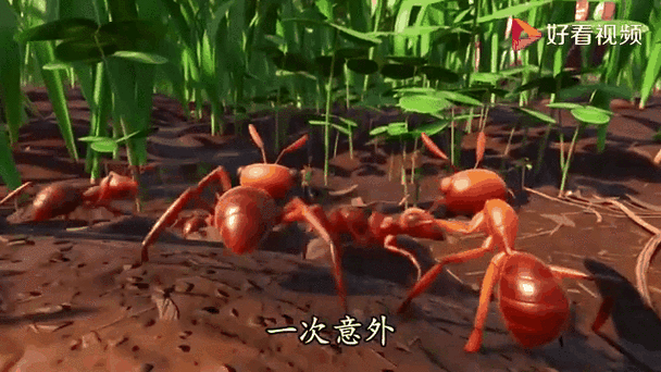 地面生存小浪截图