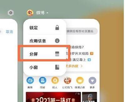 iqoo分屏多任务图标