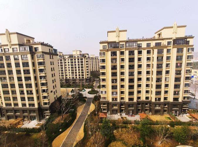 泰安都市森林最新动态图标