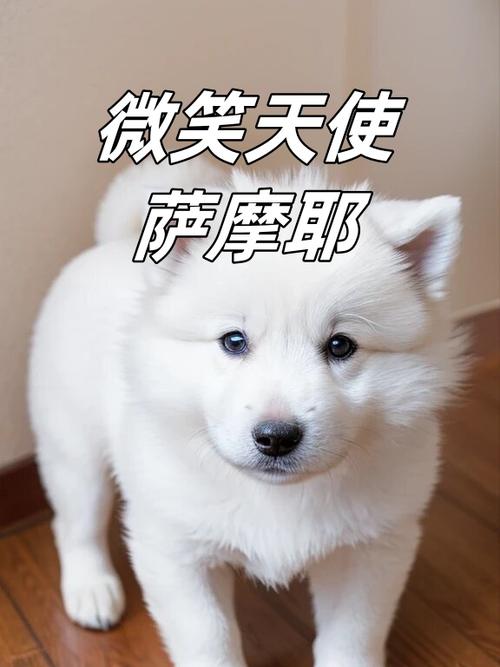 水汪汪的汪怎么写