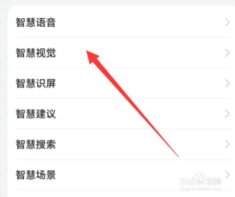 p30智慧视觉在哪里打开