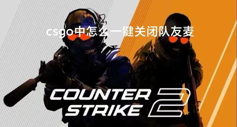 csgo怎么关自己麦