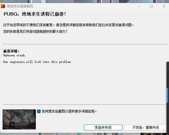 pubg游戏崩溃怎么解决截图