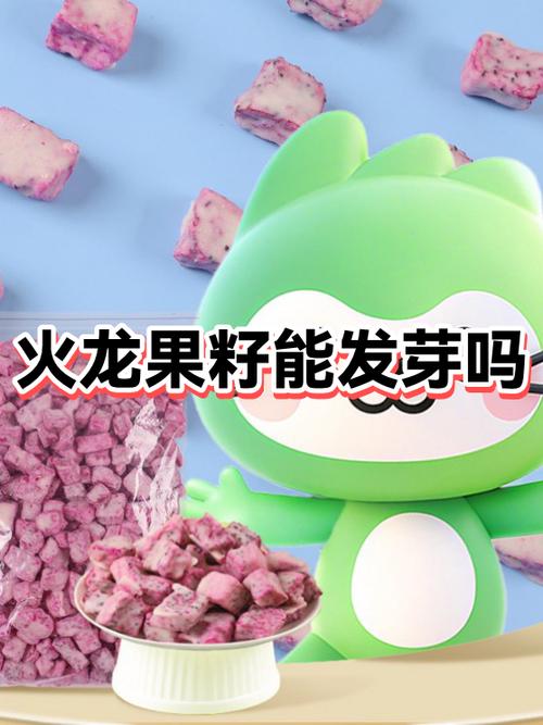 火龙果子app