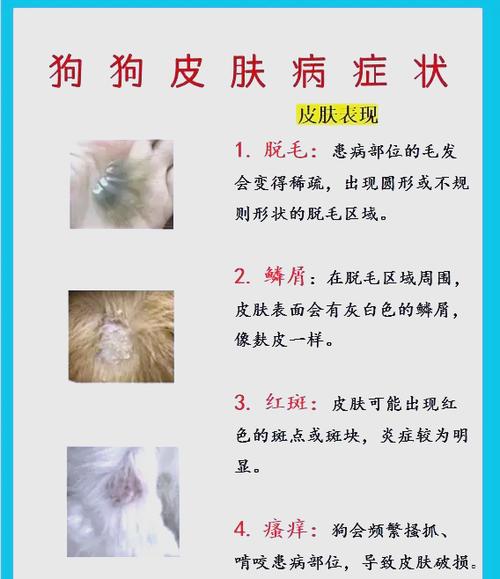 狗身上有癣能自愈吗