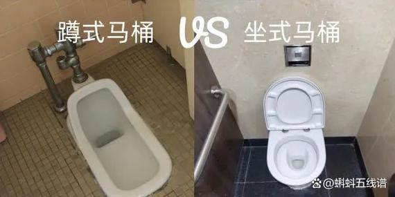 蹲厕和马桶哪个对身体好