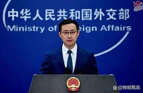 议员在中国相当于什么