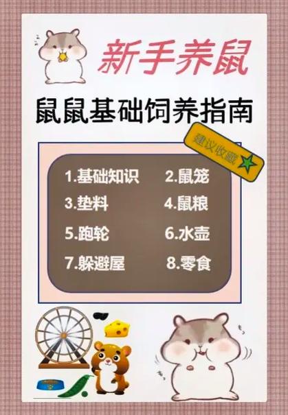 刚买来的仓鼠,没有木屑怎么办