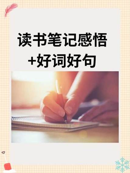 再见不勇敢的我读书笔记图标