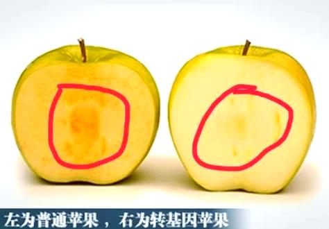 华为导资料到苹果手机用什么软件