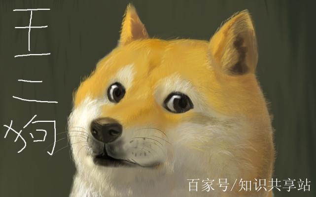 二狗机器人