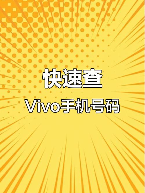 vivo手机版本号在哪里